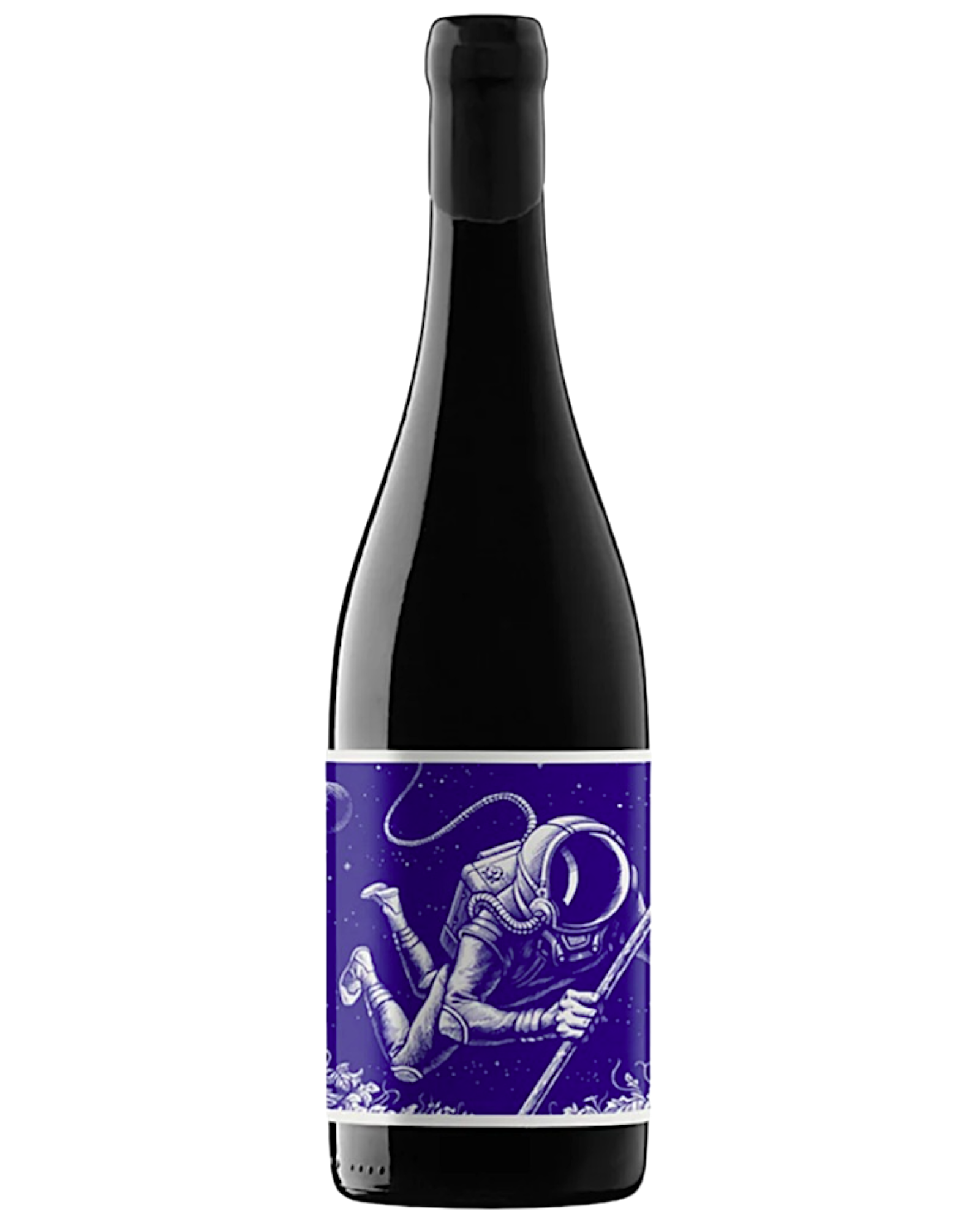 Cosmonauta El Paraje 601 2021